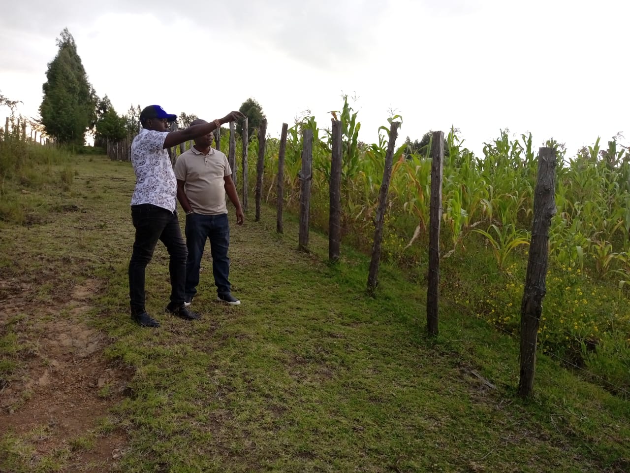 land for sale in Narok – Rotian parcel view